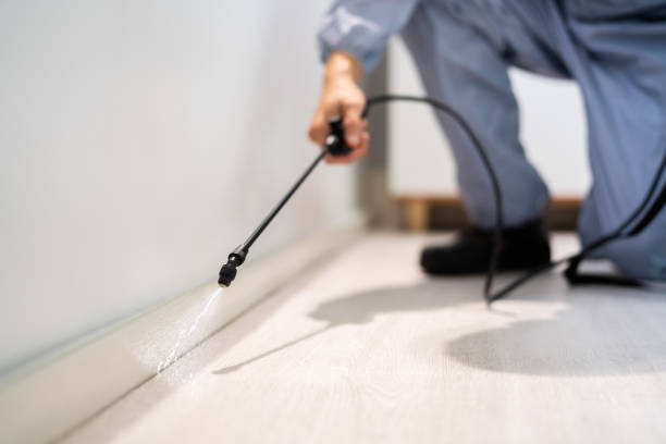Licensed Pest Control service in Summit Hill, PA - Show Me Pest Control